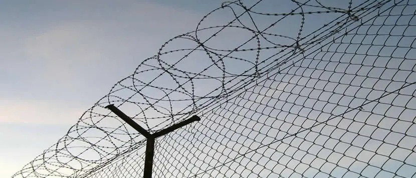 Helezonik jiletli tel